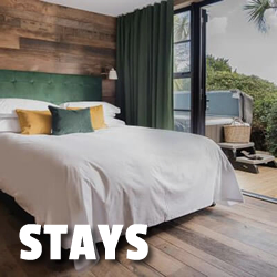 Accommodation Button Mb