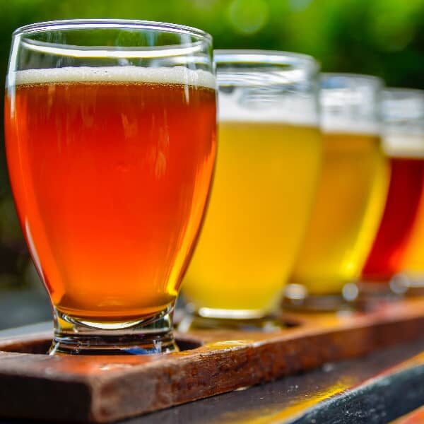 cider tasting bristol activity