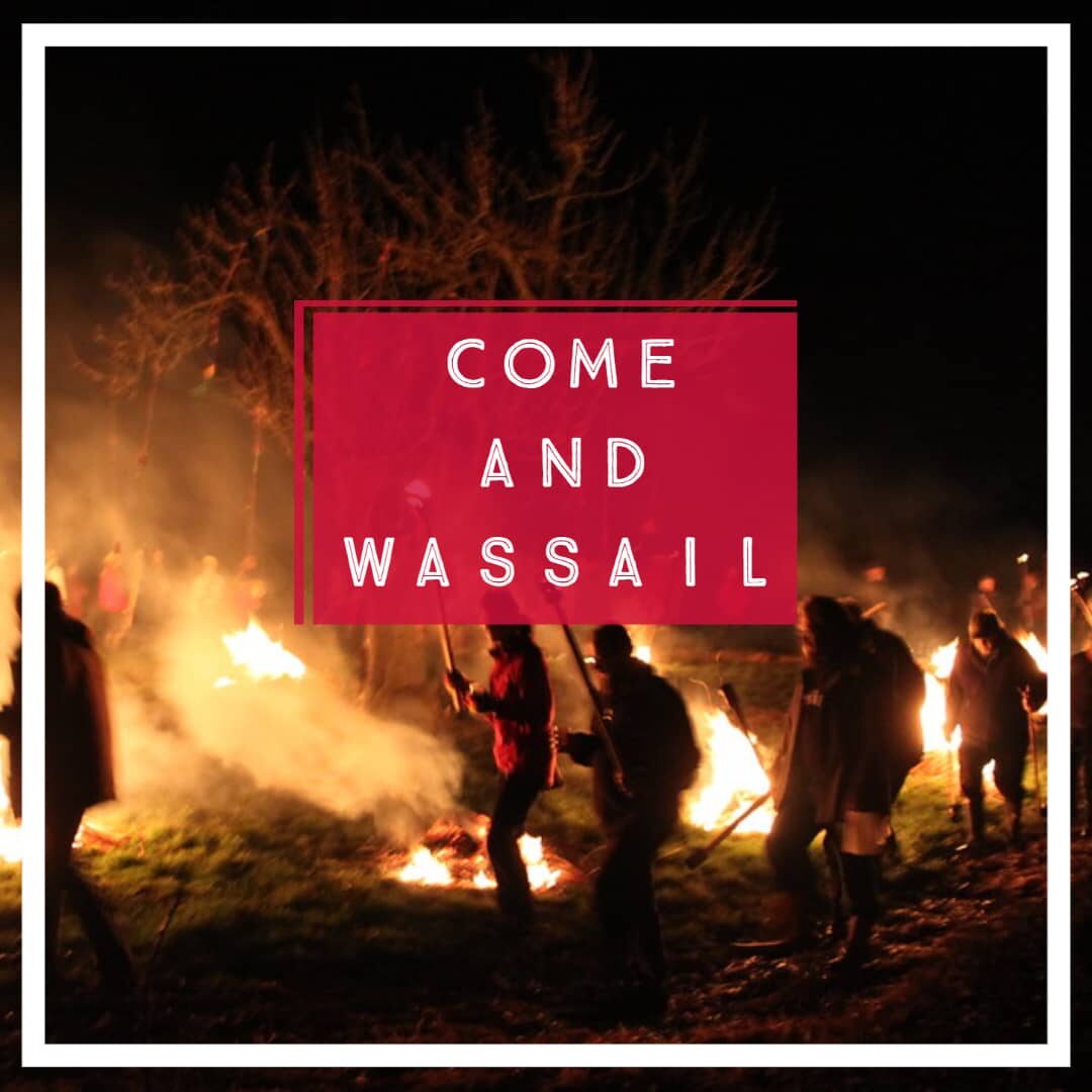 wassailing