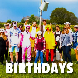 Birthdays Button Mb