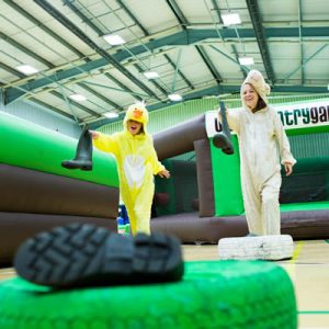 Indoor Hen Welly Wanging