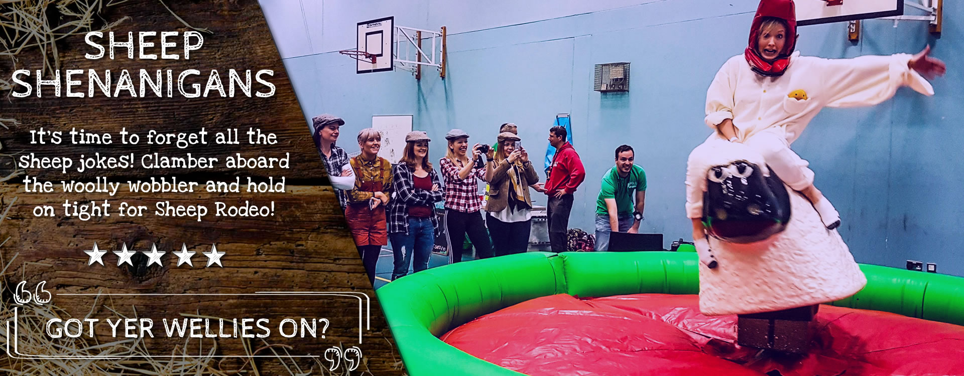 sheep rodeo indoor games page