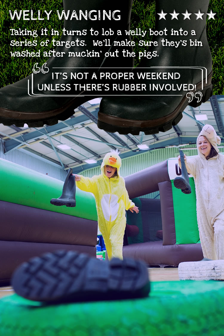 welly wanging indoor games page